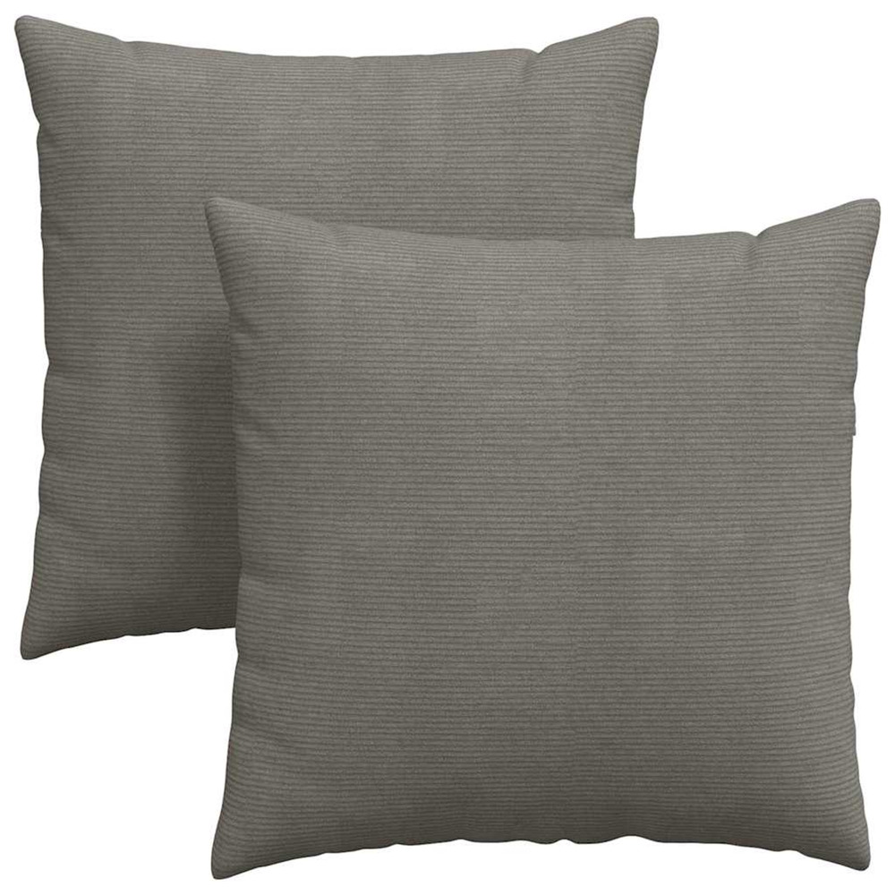 Coussins de canapé 2 pcs gris clair 80 x 80 cm