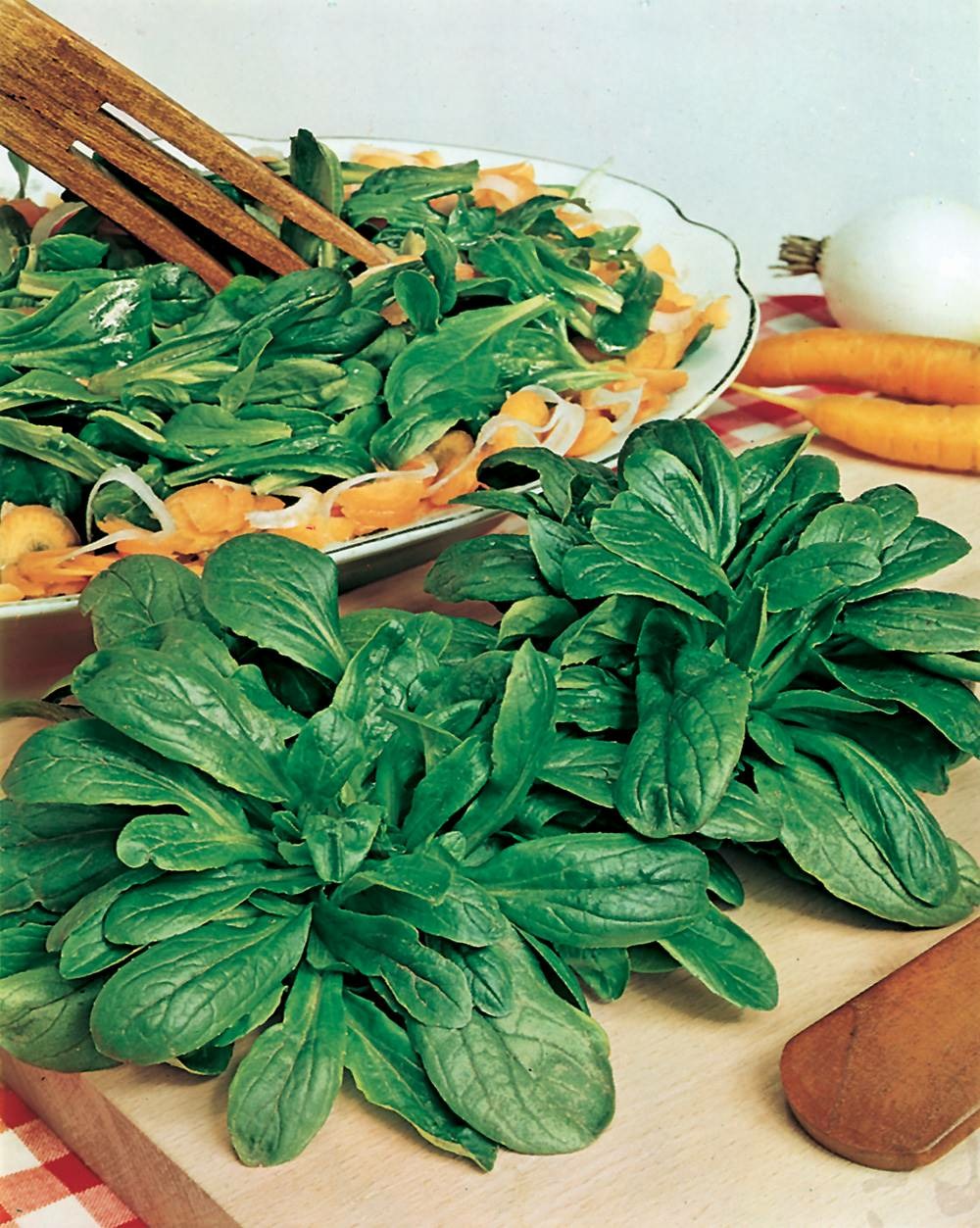 Mache verte d etampes - 5 g