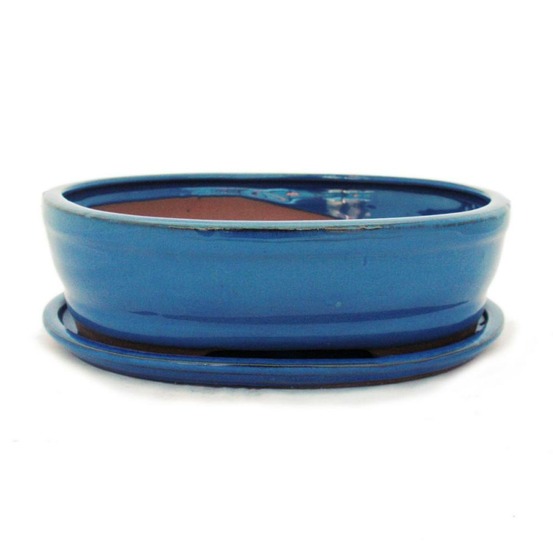 Bol bonsaï avec soucoupe taille 4 - bleu - ovale - modèle o7 - l 26cm - b 21cm - h 7,5cm