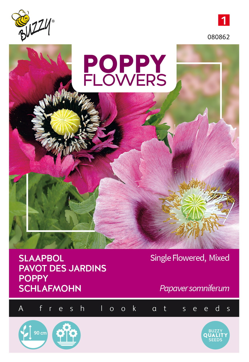 Buzzy poppy flowers coquelicot pavot somnifère - ca. 1 gr (livraison gratuite)