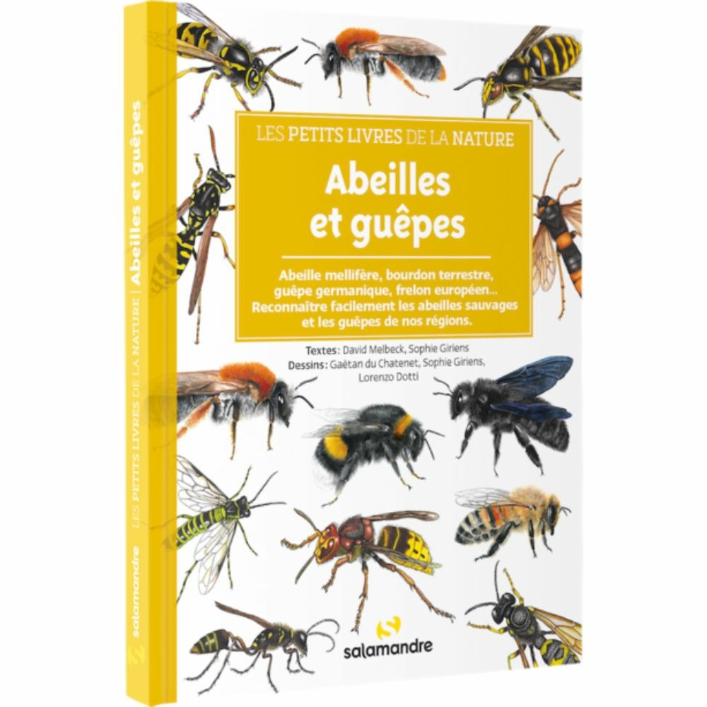 Les petits livres de la nature - abeilles et guêpes