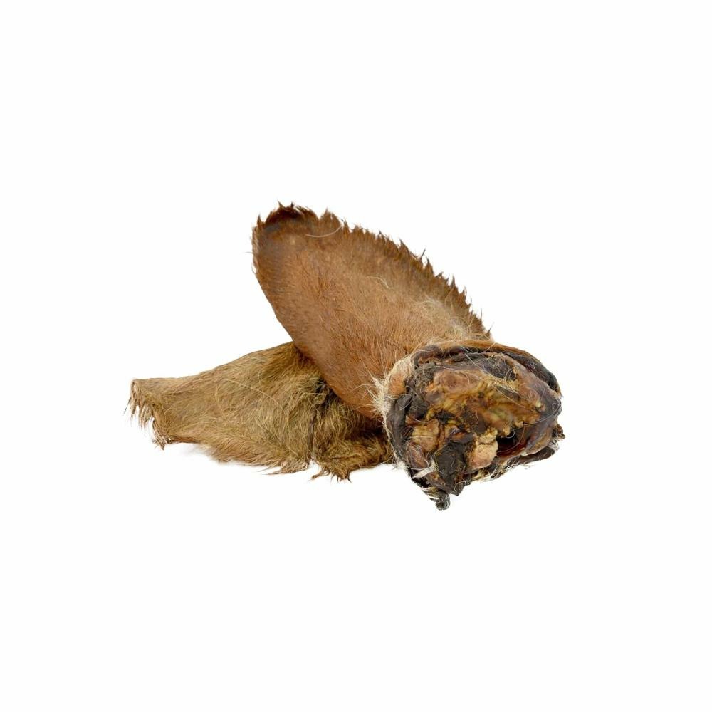 Oreilles de boeuf avec poils – mastication gourmande pour chiens – 2 pièces