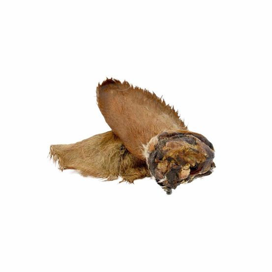 Oreilles de boeuf avec poils – mastication gourmande pour chiens – 2 pièces