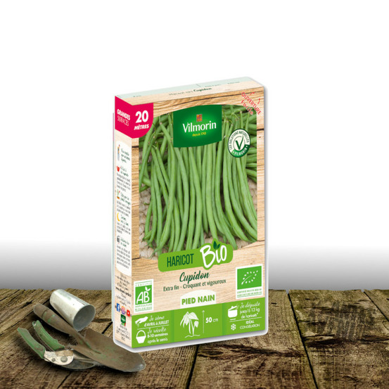 Graines de haricot nain filet sans fil cupidon - sans traitement - vilmorin boite - 20 mètres
