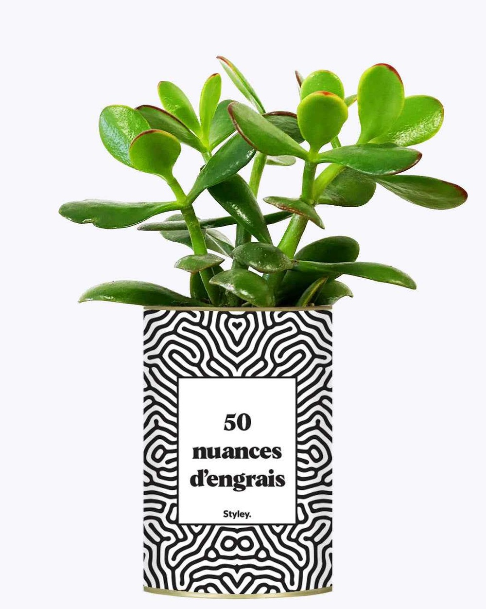 Idée cadeau - 50 nuances d'engrais - plante grasse
