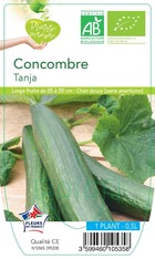 Concombre tanja  -plant ab  en  pot 0.5 l- plante du jardin