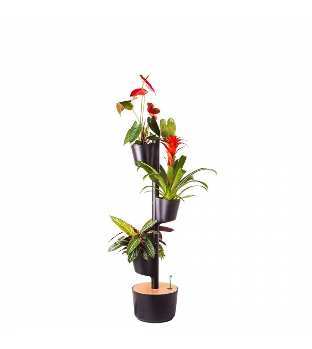 Jardinière verticale citysens noire avec 3 pots, kit digital