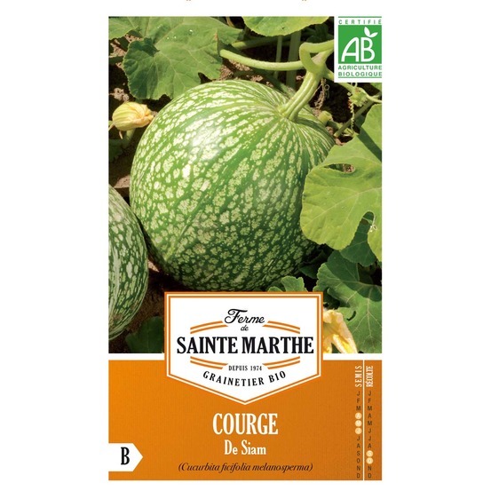 Courge de siam 'de siam' le sachet de 8 graines environ (1,8g)