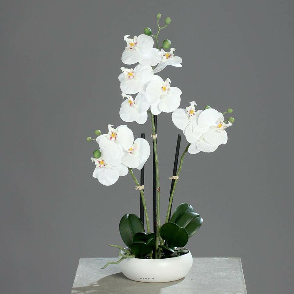 Orchidee factice 3 hampes en coupe ceramique h45cm touché réel crème - couleur: