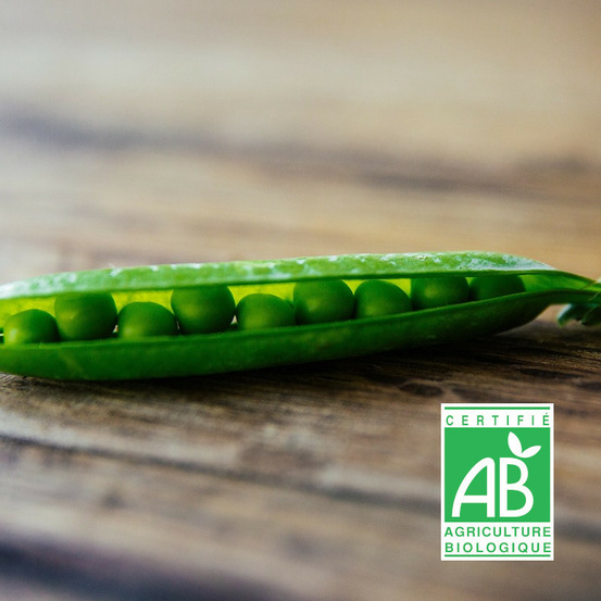 Graines de pois nain grain ridé karinal - sans traitement boite