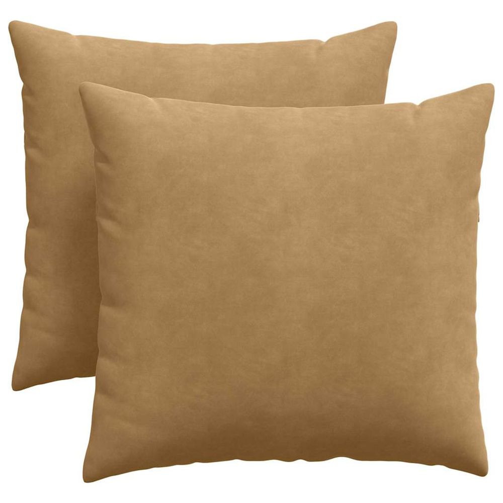Coussins de canapé 2 pcs marron 45 x 45 cm