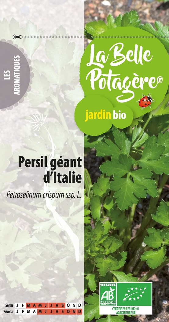 Persil géant d'italie 2 g