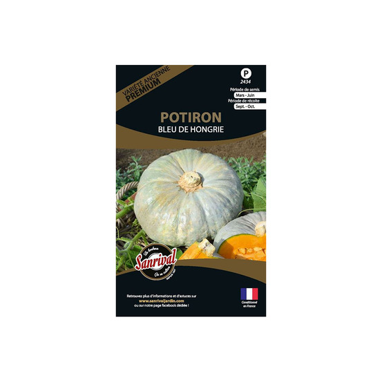 Graines potagères premium potiron bleu de hongrie