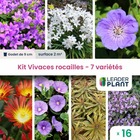 Kit vivaces rocaille - 7 variétés - lot de 16 plants en godet