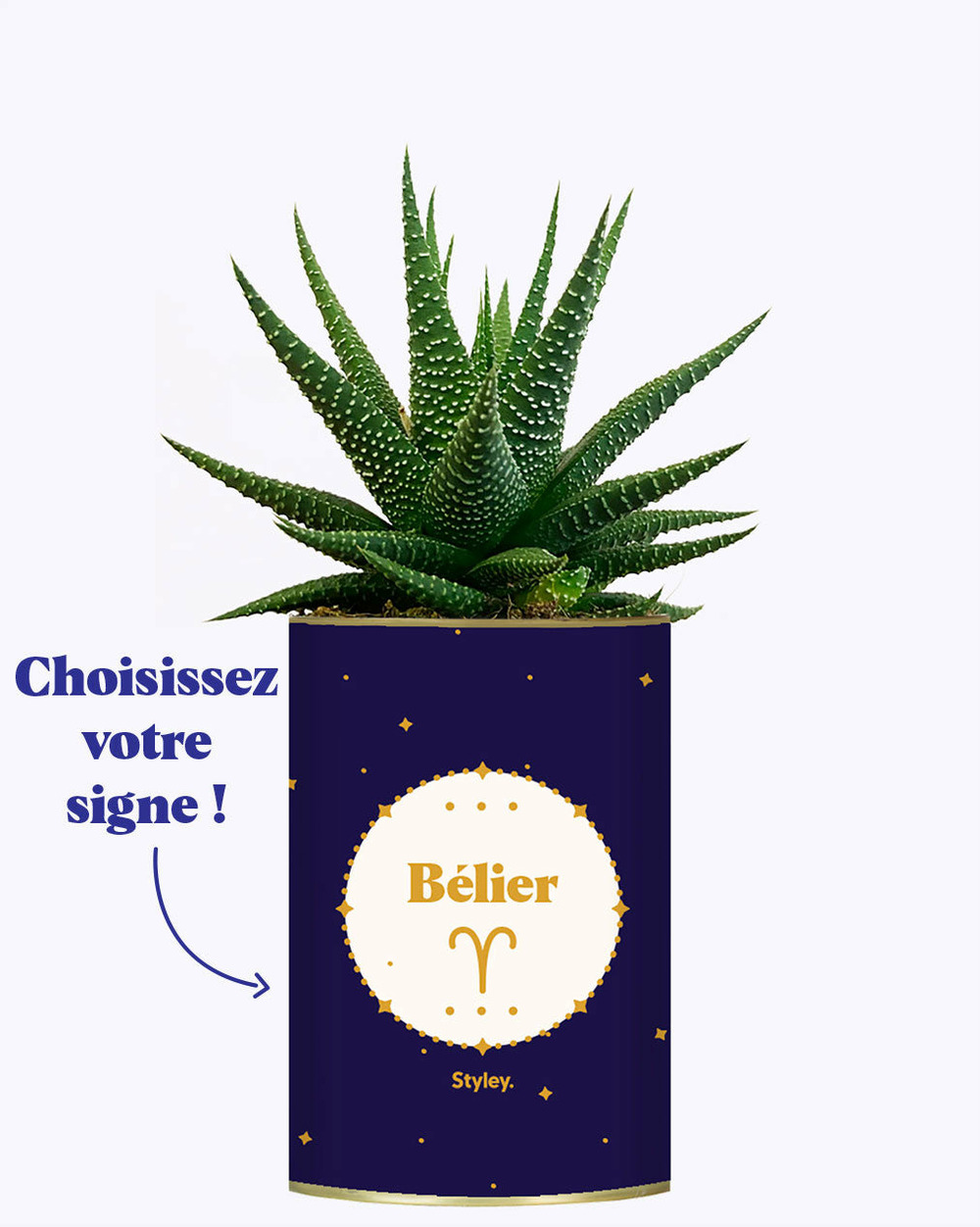 Idée cadeau - astrologie - plante zodiac