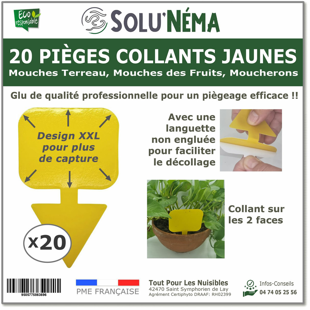 Pièges à Mouches Jaunes Autocollants 60 Pièces - Protection Plantes Intérieur Extérieur