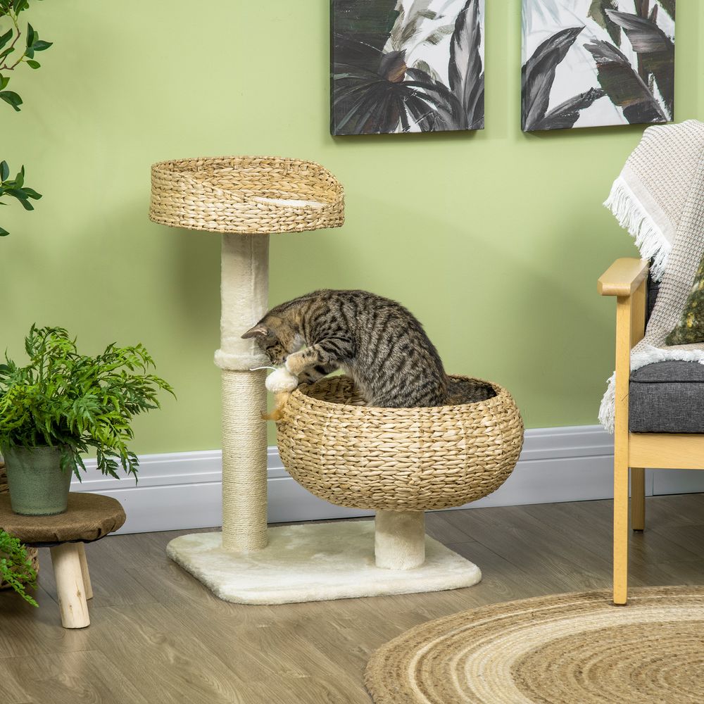 Arbre à chat griffoir 2 niveaux hauteur 72 cm poteau sisal avec niche et plateforme 1 balle suspendue
