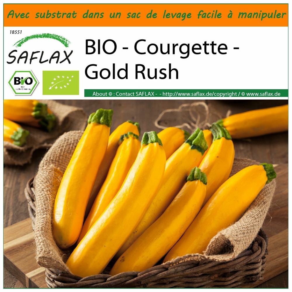 Garden in the bag - bio - courgette - gold rush - 5 graines - cucurbita pepo var. Cylindrica
