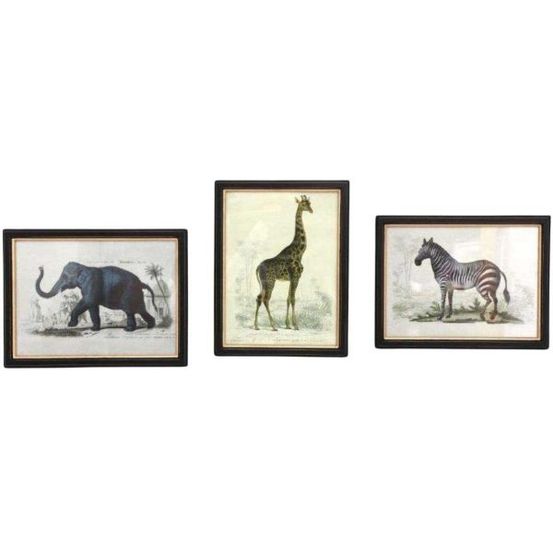 Assortiment de 3 cadres safari
