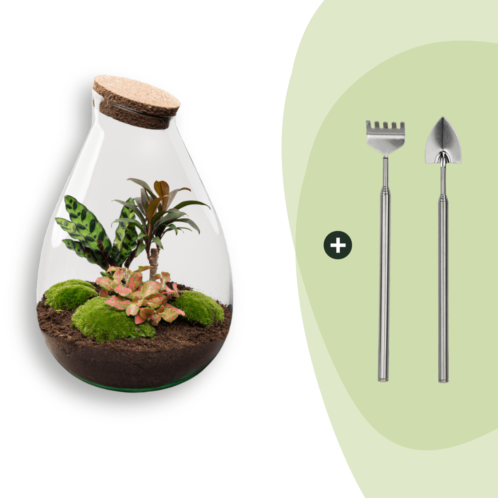 Terrarium à composer goutte en verre recyclé - ø29-h37cm - avec râteau et pelle - variété rouge - terrarium diy