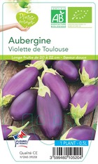 Aubergine violette de toulouse  -plant ab  en  pot 0.5 l- plante du jardin