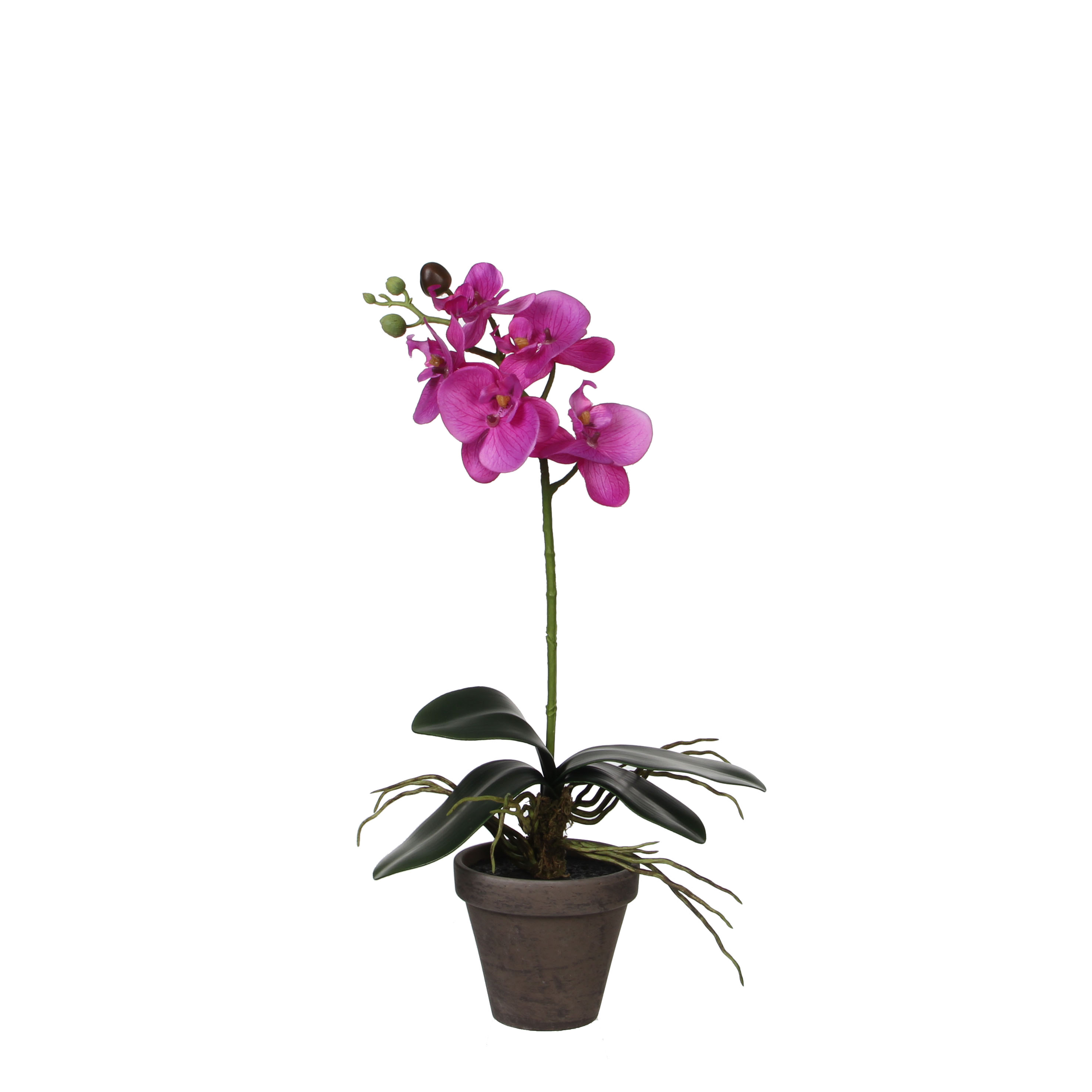 Mica decorations - orchidée artificielle violet en pot h48
