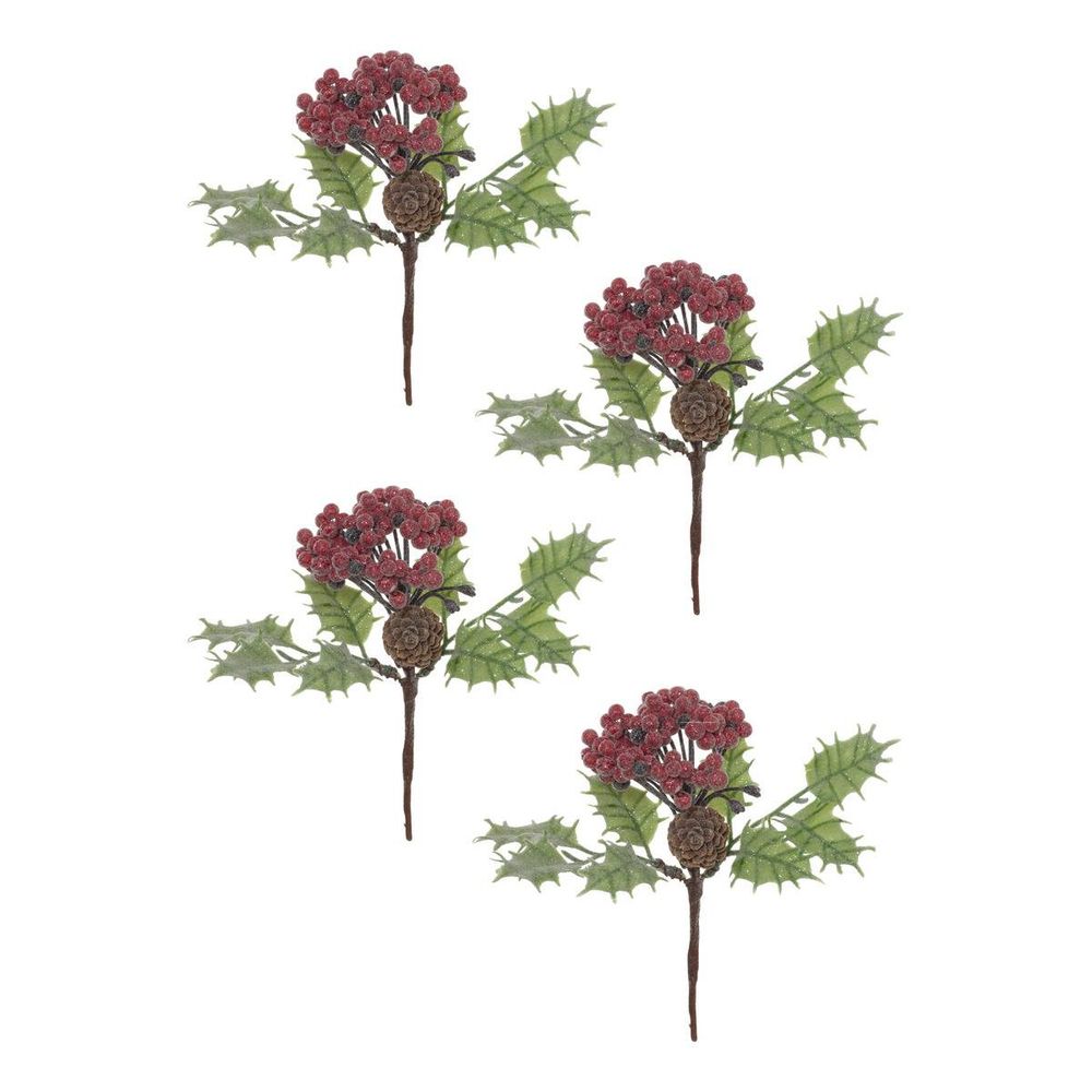 Sdn branch x4 houx baies 16cm