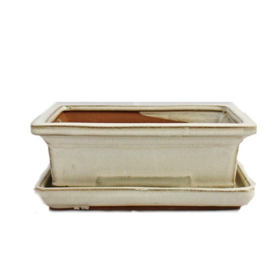 Bol bonsaï avec soucoupe taille 3 - beige clair - carré - modèle g29 - l 18cm - b 13cm - h 6cm