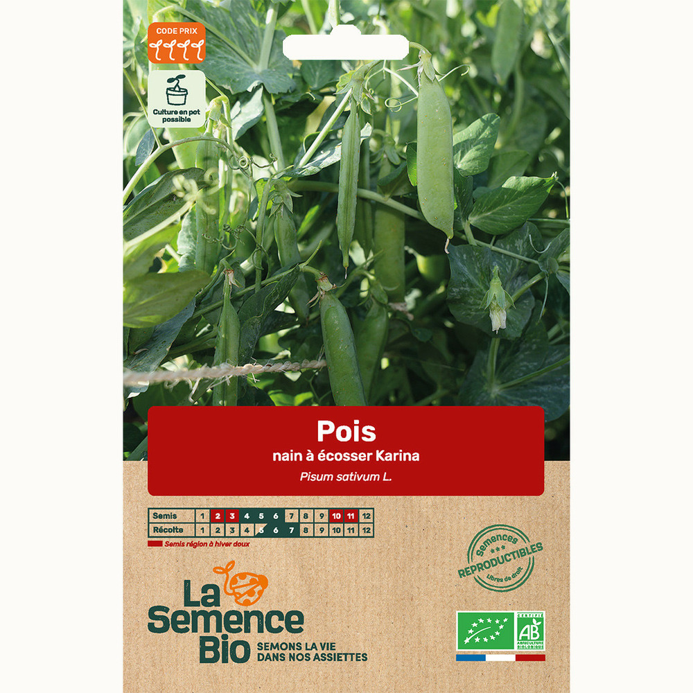 Pois nain à écosser karina - graines bio