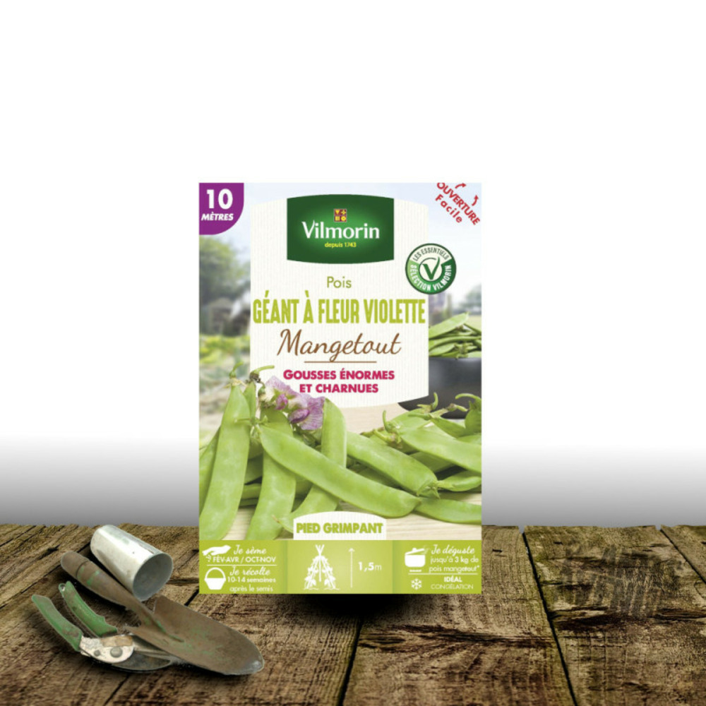Graines de pois grimpant mangetout géant à fleur violette - vilmorin boite - 10 mètres