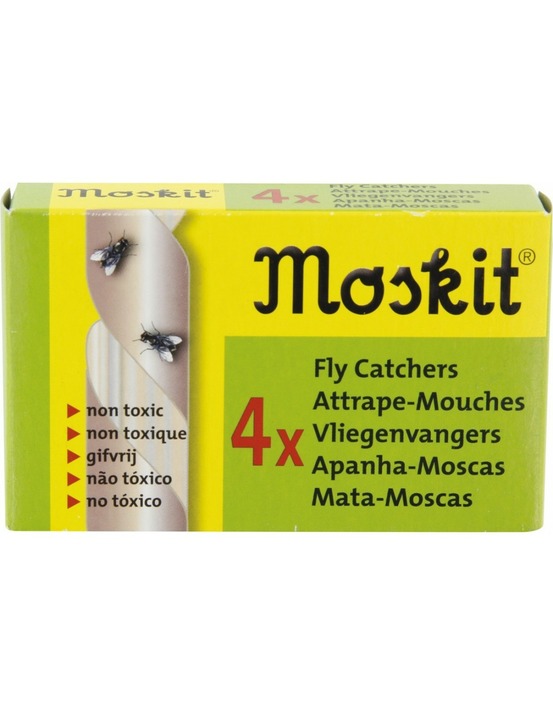 Masy attrape-mouches 4 - masy