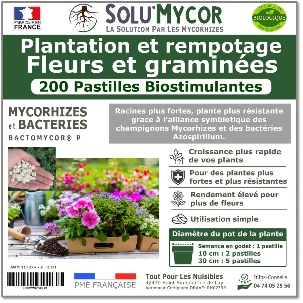 Solumycor 200 pastilles biostimulantes fleurs et graminees semis plantation developpement racinaire