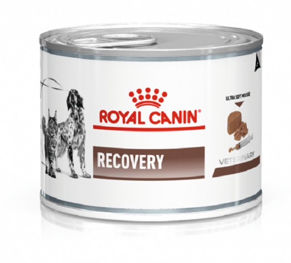 ROYAL CANIN Vet Dog Cat Recovery boite de  195g