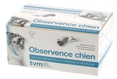 TVM . OBSERVENCE CHIEN .  1-(1015964)