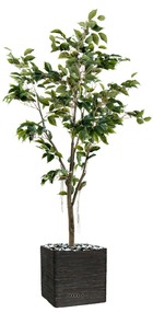 Ficus benjamina artificiel tronc pe en pot superbe h150 cm d80 cm vert - dimhaut