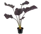 Calathea artificielle en pot, grandes feuilles, h 55 cm pourpre-rose - couleur: