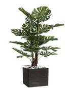 Philodendron artificiel en pot 24 grandes feuilles h 120 cm