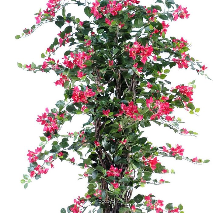 Bougainvillier artificiel 100 cm avec tronc naturel, Fleurs roses tréflées, plante réaliste en pot – Pour jardin, balcon & intérieur - Maison Bougainvillier artificiel 100 cm avec tronc naturel, Fleurs roses tréflées, plante réaliste en pot – Pour jardin, balcon & intérieur - Maison