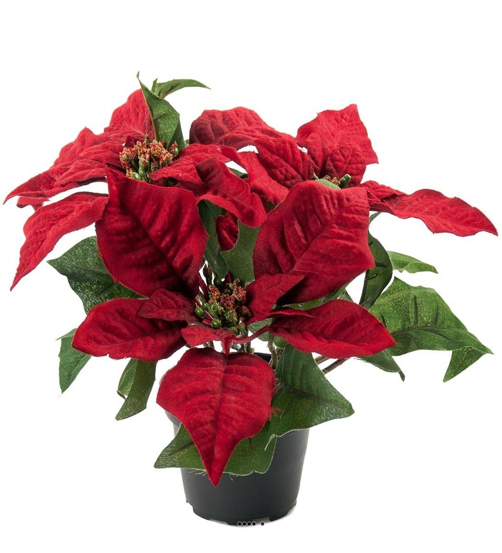 Poinsettia artificiel en pot h 26 cm très dense 5 fleurs rouge - couleur: rouge