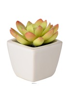 Echeveria plante grasse artificielle succulente en pot ceramique - couleur: vert