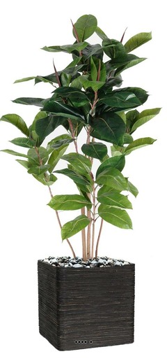 Ficus Robusta factice tronc PE en pot beau et rare H120cm D75cm Vert - dimhaut: H 120 cm - couleur: Vert