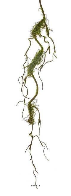 Branche de liane artificielle ramifiée avec mousse réaliste H 102 cm Vert forêt - dimhaut: H 103 cm - couleur: Vert forêt