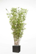 Bambou oriental artificiel h 160 cm 2400 feuilles cannes fines en pot - dimhaut: