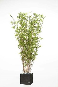 Bambou Oriental Artificiel H 160 cm 2400 Feuilles cannes fines en pot - dimhaut: H 160 cm - couleur: Vert