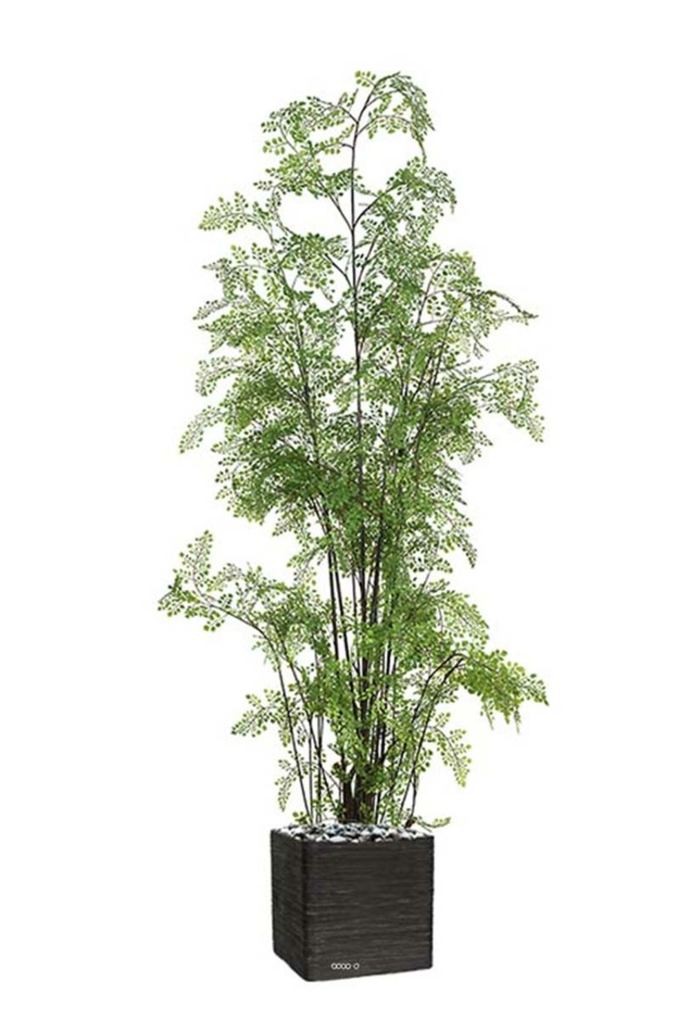 Fougère adiantum artificielle sur pied, en pot, h 180 cm, d 70 cm