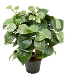 Philodendron artificiel en pot h 35 cm très dense