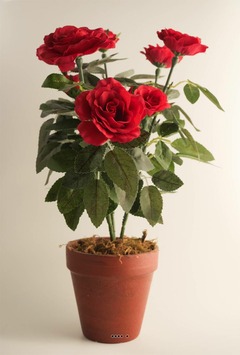 Rosier sur tronc plante artificielle en pot 9 têtes H 40 cm Rouge - couleur: Rouge