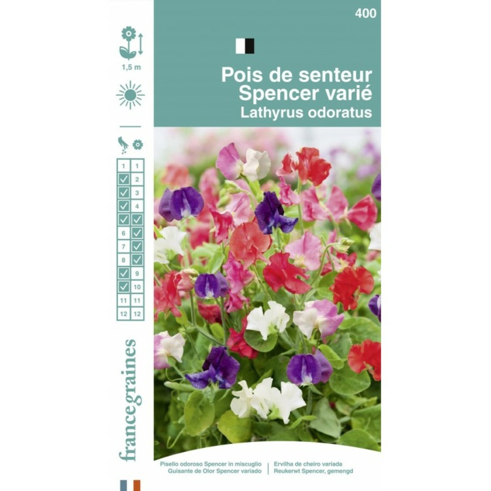 France graines - pois senteur spencer mix