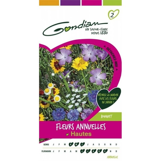 Fleurs annuelles hautes multicolore