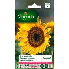 Vilmorin - Tournesol nain Sunspot (simple)